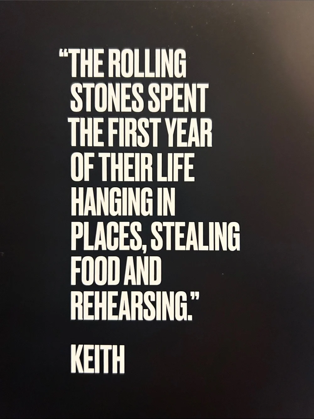 Book the Rolling Stones Unzipped